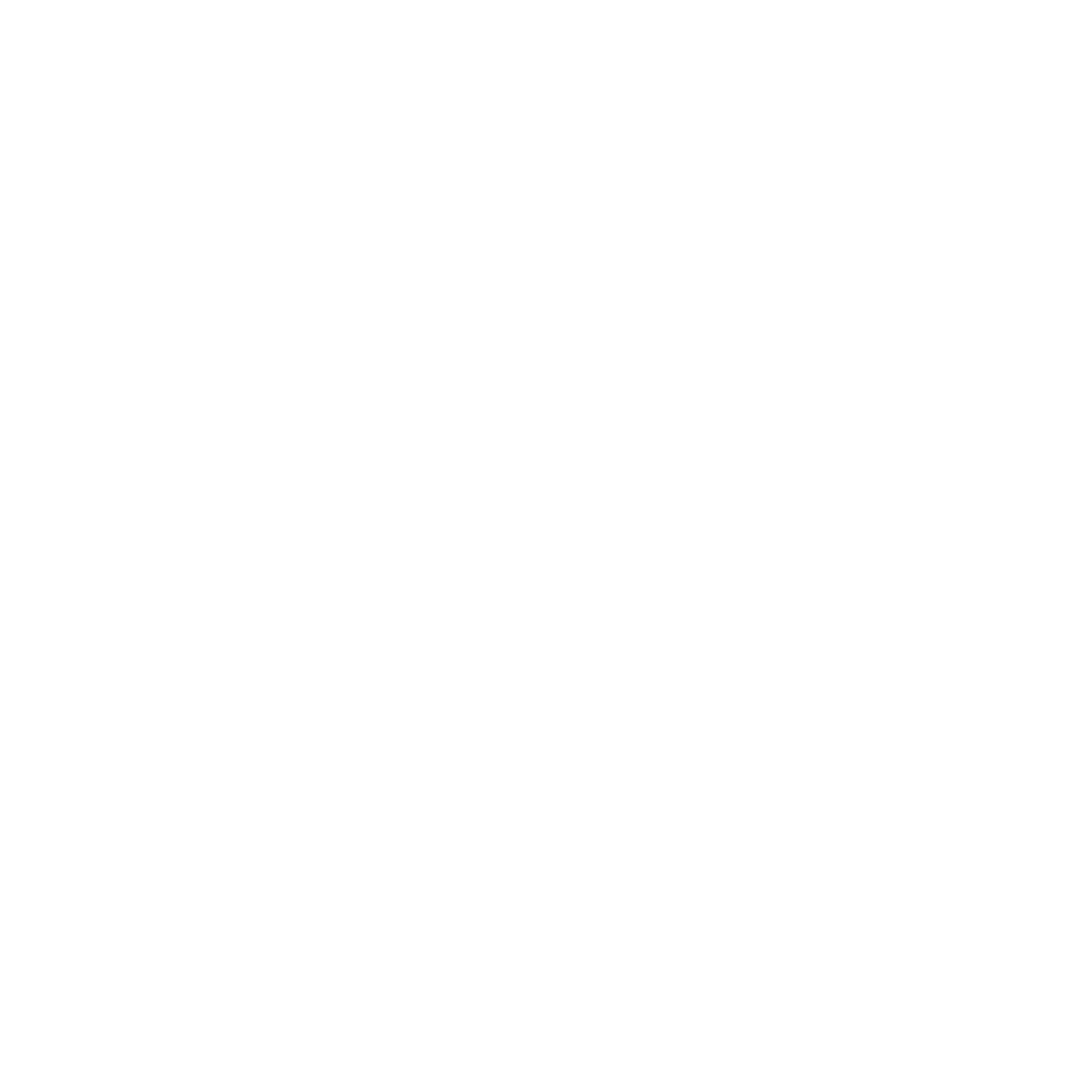 Enviroshield shield emblem